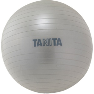 タニタ　タニタサイズ　ジムボール　シルバー　ＴＳ－９６２－ＳＶ　１個1