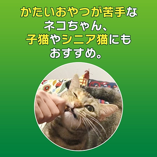 ライオン　ＰＥＴＫＩＳＳ　ネコちゃんの歯みがきおやつ　やわらか　まぐろ味　１４ｇ　１パック4