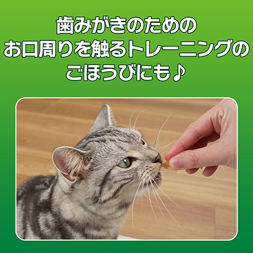 ライオン　ＰＥＴＫＩＳＳ　ネコちゃんの歯みがきおやつ　やわらか　まぐろ味　１４ｇ　１パック6