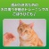 ライオン　ＰＥＴＫＩＳＳ　ネコちゃんの歯みがきおやつ　カニ風味かま　１５ｇ　１パック6