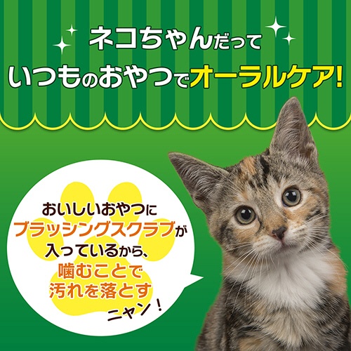 ライオン　ＰＥＴＫＩＳＳ　ネコちゃんの歯みがきおやつ　ササミジャーキー　２０ｇ　１パック3