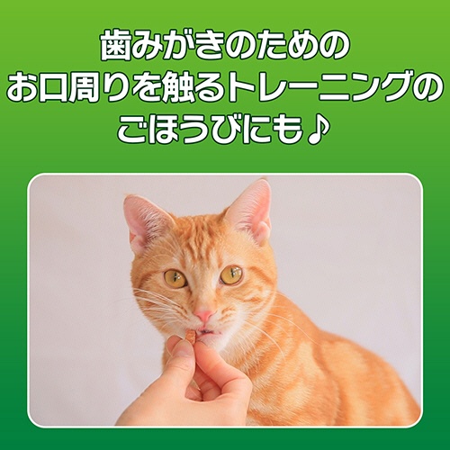 ライオン　ＰＥＴＫＩＳＳ　ネコちゃんの歯みがきおやつ　ササミジャーキー　２０ｇ　１パック6
