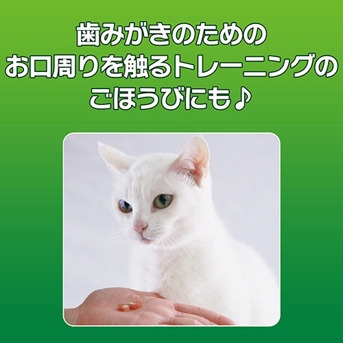 ライオン　ＰＥＴＫＩＳＳ　ネコちゃんの歯みがきおやつ　ササミプチロール　１６ｇ　１パック6
