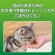 ライオン　ＰＥＴＫＩＳＳ　ネコちゃんの歯みがきおやつ　まぐろ味プチ　１４ｇ　１パック6