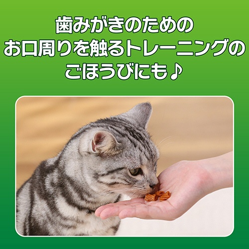 ライオン　ＰＥＴＫＩＳＳ　ネコちゃんの歯みがきおやつ　まぐろ味プチ　１４ｇ　１パック6