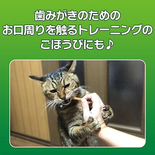 ライオン　ＰＥＴＫＩＳＳ　ネコちゃんの歯みがきおやつ　チキン味スティック　１４ｇ　１パック6