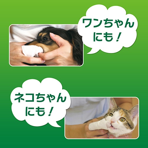 ライオン　ＰＥＴＫＩＳＳ　歯みがきシート　無香料　１パック（３０枚）3