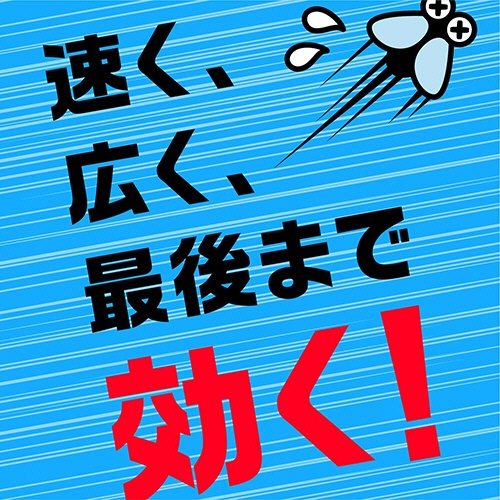アース製薬　アース虫よけネットＥＸ　２６０日用　１個6