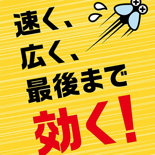 アース製薬　アース虫よけネットＥＸ　１年用　１個6