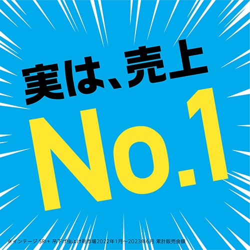 アース製薬　アース虫よけネットＥＸ　玄関用　２６０日用　１個4