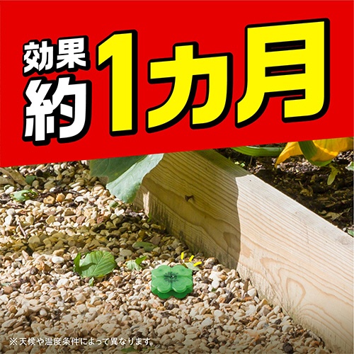 アース製薬　アースガーデン　ハイパーアリの巣コロリ　１パック（２４個）8