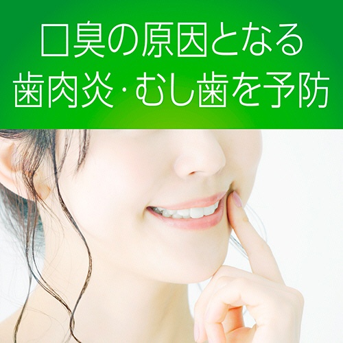 アース製薬　モンダミン　プレミアムケア　シトラスミント　１０００ｍＬ　１本6