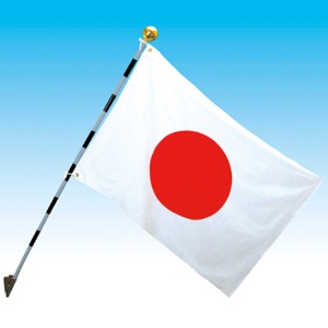ササガワ　国旗セットＤ　４０－３０９５　１個2