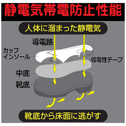 たまみ ae92d7ca23b12fac5ca3b51b278350