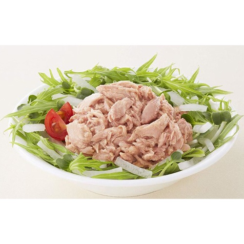 はごろもフーズ　オイル不使用　シーチキンマイルド　７０ｇ　１パック（４缶）2
