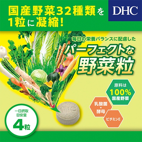 ＤＨＣ　国産パーフェクト野菜プレミアム　６０日分　１個（２４０粒）5
