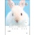 どうぶつ見つけた！おくすり手帳　１６ページ　うさぎ　１パック（１００冊）
