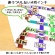 サクラクレパス　水性マーカー　ピグマックスツイン　１２色（各色１本）　ＺＰＫ－Ｔ１２　１パック3