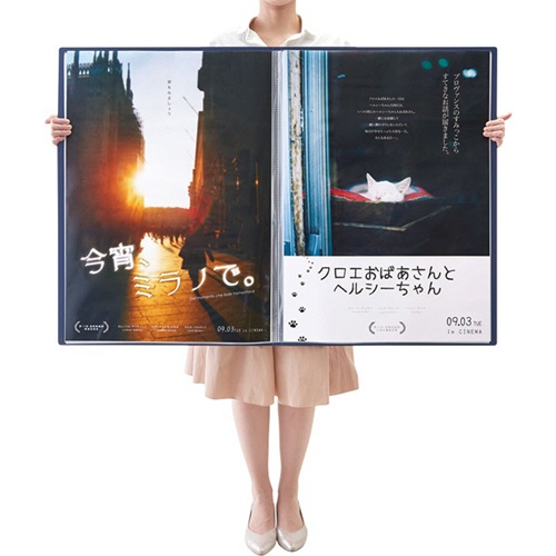 キングジム　ポスターファイル　Ｂ２タテ　１０ポケット　ネイビー　３１８４－ＮＶ　１冊5