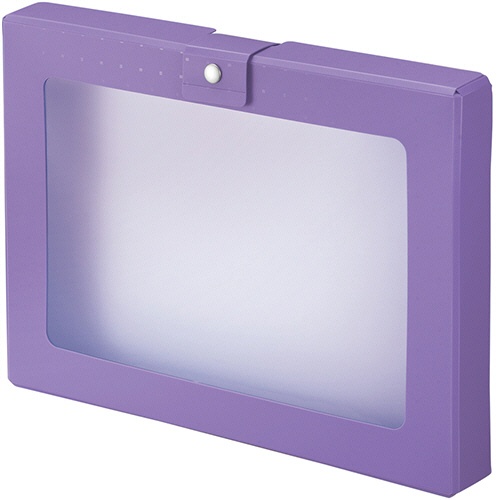 リヒトラブ　ＣＵＢＥ　ＦＩＺＺ　ハンドケース　Ａ４　パープル　Ａ－６９９－１０　１個1