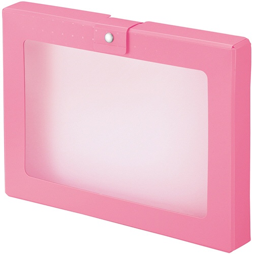 リヒトラブ　ＣＵＢＥ　ＦＩＺＺ　ハンドケース　Ａ４　ピンク　Ａ－６９９－１２　１個1