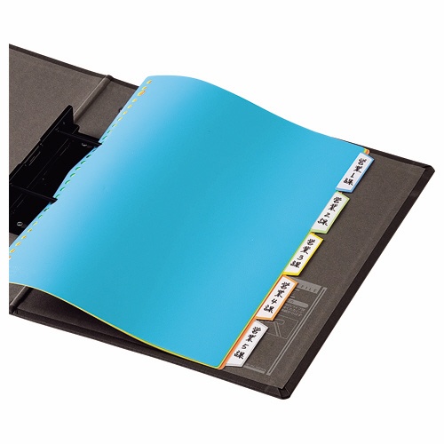 ライオン事務器　ＰＰカラーインデックス　Ａ４タテ　２・４・３０穴　５色５山　ＣＩ－５３ＰＣ　１組3