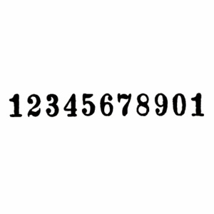 ライオン事務器　ナンバリング　Ａ型　１１桁３様式　Ｅ字体　Ａ－１１　１台2