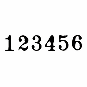 ライオン事務器　ナンバリング　Ｃ型　６桁９様式　Ｅ字体　Ｃ－９６　１台2