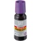 シヤチハタ　強着スタンプインキ　タート（速乾性多目的用）　小瓶　５５ｍｌ　紫　ＳＴＳＧＡ－１－Ｖ　１個