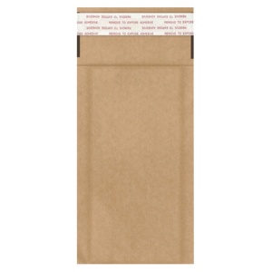 カクケイ　エコクッション封筒　小物用　ＦＫ０４０４　１ケース（１００枚）1