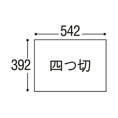 リンテック　ニューカラーＲ　四つ切　しらちゃ　４ＮＣＲ－１１１　１パック（１００枚）3