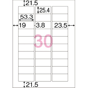 ヒサゴ　エコノミーラベル　Ａ４　３０面　５３.３×２５.４ｍｍ　四辺余白　角丸　ＥＬＭ０３２　１冊（１００シート）2