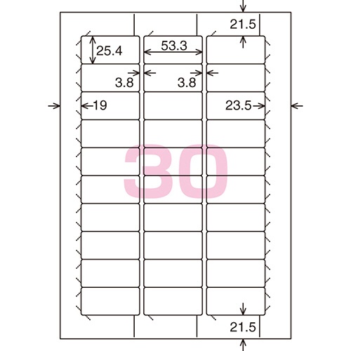 コクヨ　プリンタを選ばない　はかどりラベル（各社共通レイアウト）　Ａ４　３０面　２５．４×５３．３ｍｍ　ＫＰＣ－Ｅ１３０１－２０Ｎ　１冊（２２シート）2