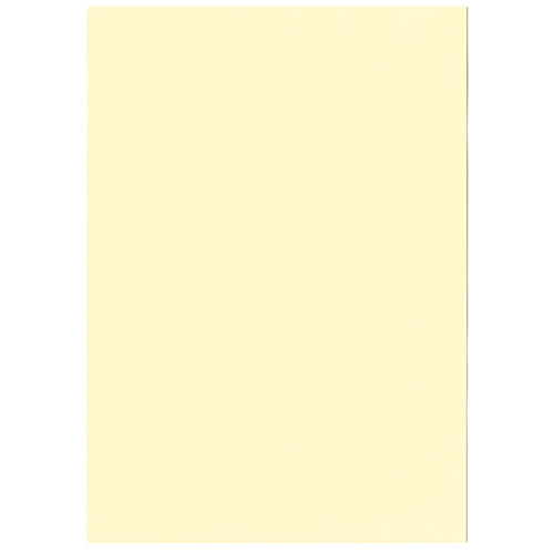 北越コーポレーション 紀州の色上質A3Y目 薄口 レモン 1冊(500枚)-