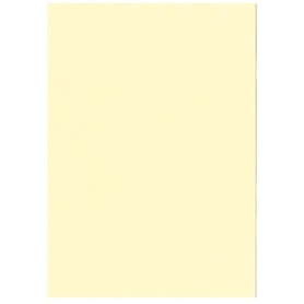 【たのめーる】北越コーポレーション 紀州の色上質 A3T目 超厚口 レモン 1冊(100枚)の通販