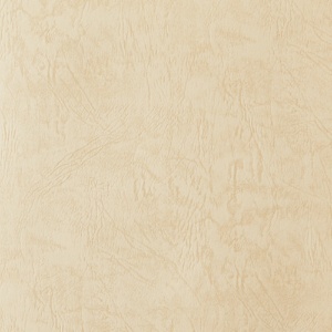特種東海製紙　レザック６６　Ａ４Ｔ目　古染　１５１．２ｇ　１冊（１００枚）2
