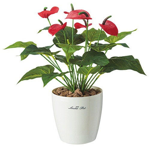 オフィスグリーン　人工植物　アンスリューム　高さ４３０ｍｍ　ＧＷＩＧ－ＯＴ－Ａ０１０　１個1