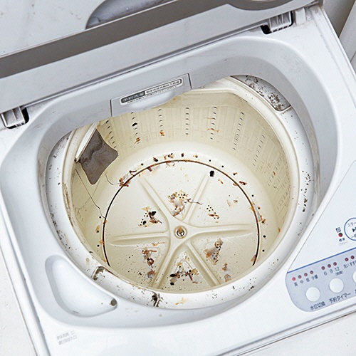 コジット　パワーバイオ　洗濯槽のカビきれい　１パック（３包）5