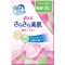 日本製紙クレシア　ポイズ　さらさら素肌　吸水ナプキン　安心の少量用　１パック（２２枚）
