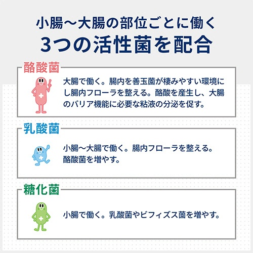 アリナミン製薬　ビオスリーＨｉ錠　１個（５４０錠）4