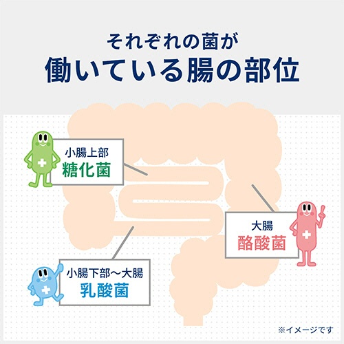 アリナミン製薬　ビオスリーＨｉ錠　１個（５４０錠）5