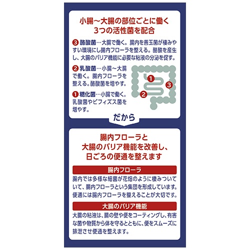 アリナミン製薬　ビオスリーＨｉ錠　１個（５４０錠）7