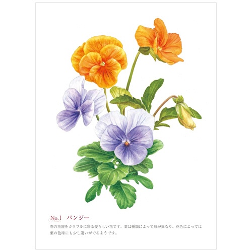 河出書房新社　大人の塗り絵　スタートブック　美しい花と風景　１冊4