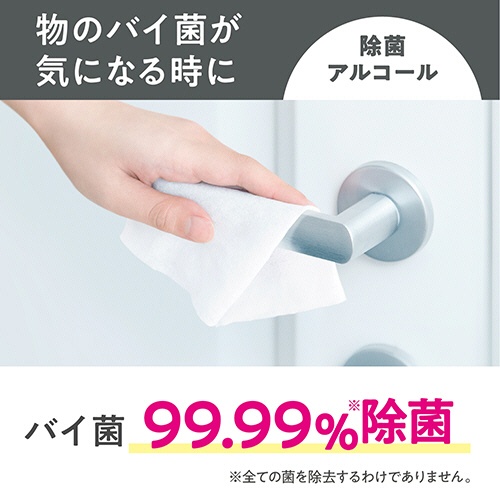 日本製紙クレシア　スコッティ　ウェットティシュー　除菌　アルコールタイプ　ポケモン　１個（１２０枚）2