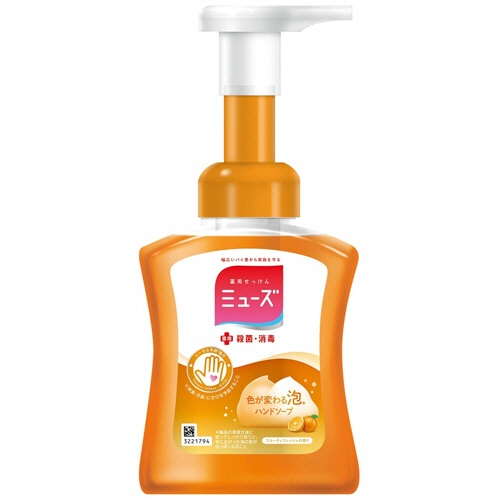 レキットベンキーザー・ジャパン　泡ミューズ　フルーティフレッシュ　本体　２５０ｍｌ　１個1