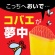 アース製薬　コバエがホイホイスリム　１個3