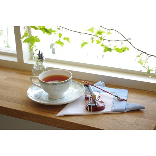 ひしわ　有機ダージリン紅茶リーフティー　７０ｇ　１パック3