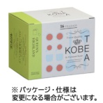 神戸紅茶　生紅茶