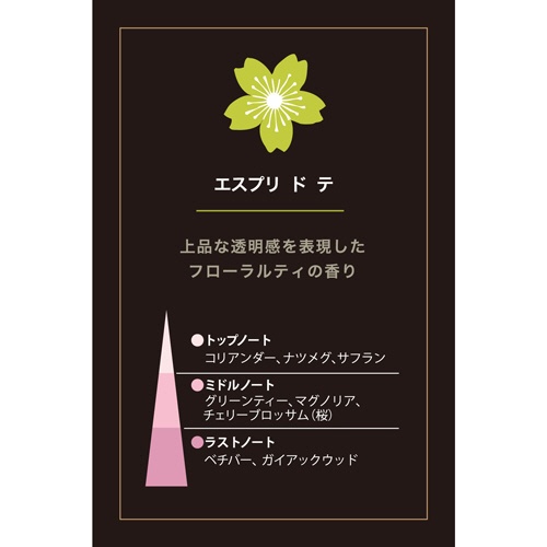 エステバン　エスプリドテ　インテリアフレグランスオイル　１５ｍｌ　１本4