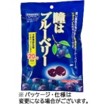 川口製菓　瞳はブルーベリー　８３ｇ